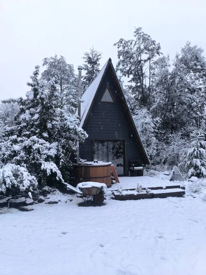 The cabin front among snowy trees, by day